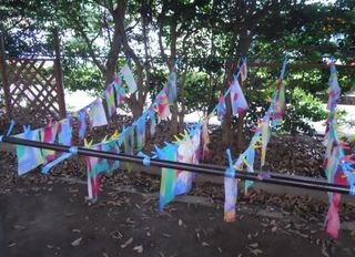 180709-0004.JPG